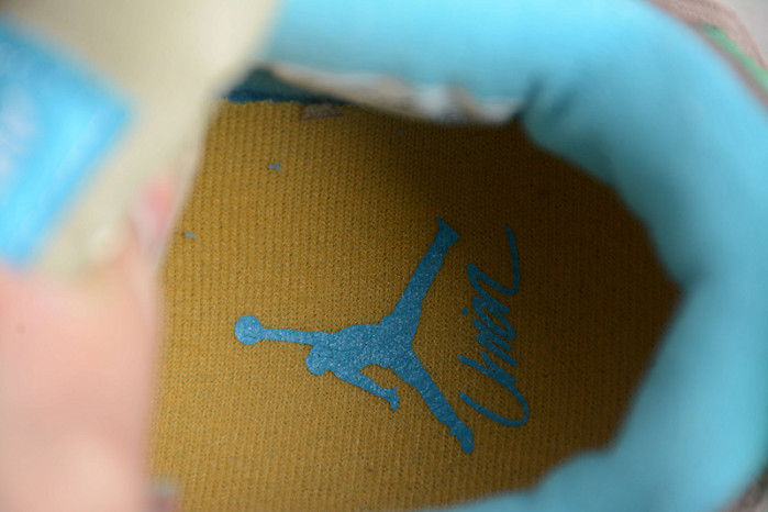 union x air jordan 4 “taupe haze” dj5718-242