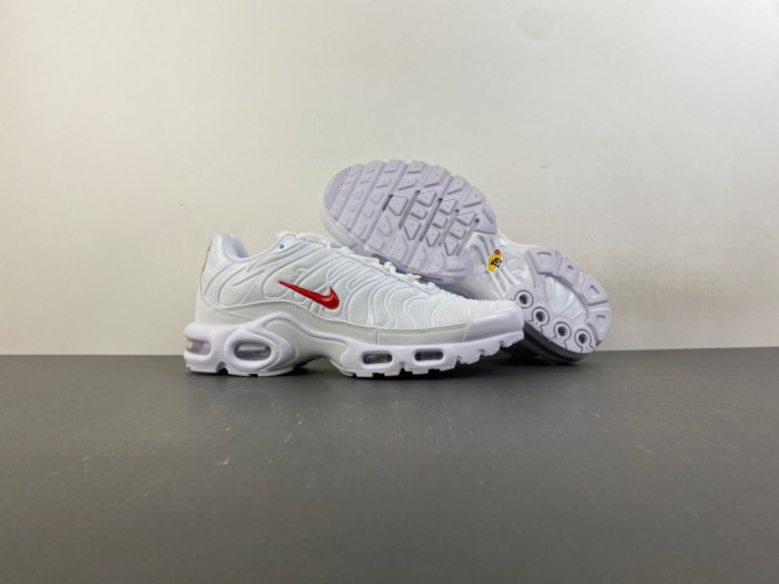 Nike Air Max Plus TN 