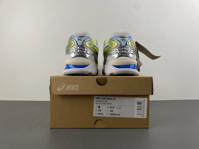 ASICS sneaker 1203A537-108